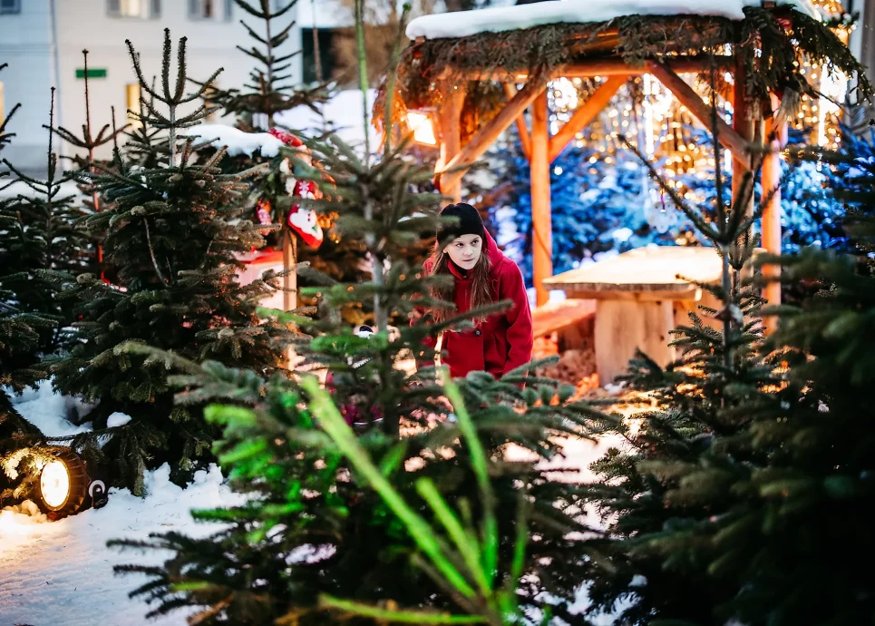 Zauberwald-Hohenems(c)Frederich-Sams-TSH