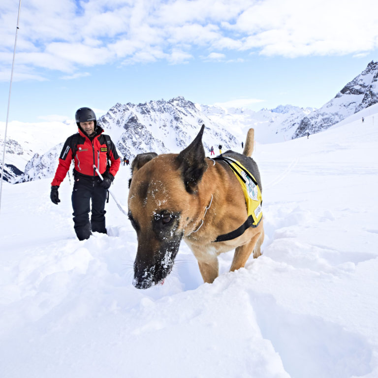 Lawinensuchhund Bora mit Bertram Klehenz © Gert Krautbauer / Vorarlberg Tourismus