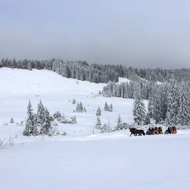 Pferdeschlittenfahrt, Hochhäderich, Hittisau, Bregenzerwald (c) Daniela Kaulfus / Vorarlberg Tourismus GmbH