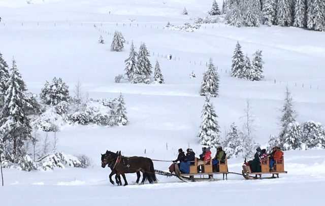 Pferdeschlittenfahrt, Hochhäderich, Hittisau, Bregenzerwald, Wintertipps abseits der Pisten (c) Daniela Kaulfus / Vorarlberg Tourismus GmbH
