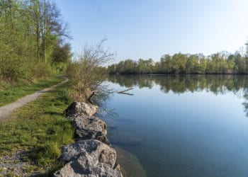 Alter Rhein Rundweg (c) Vorarlberg Tourismus-Agnes Ammann