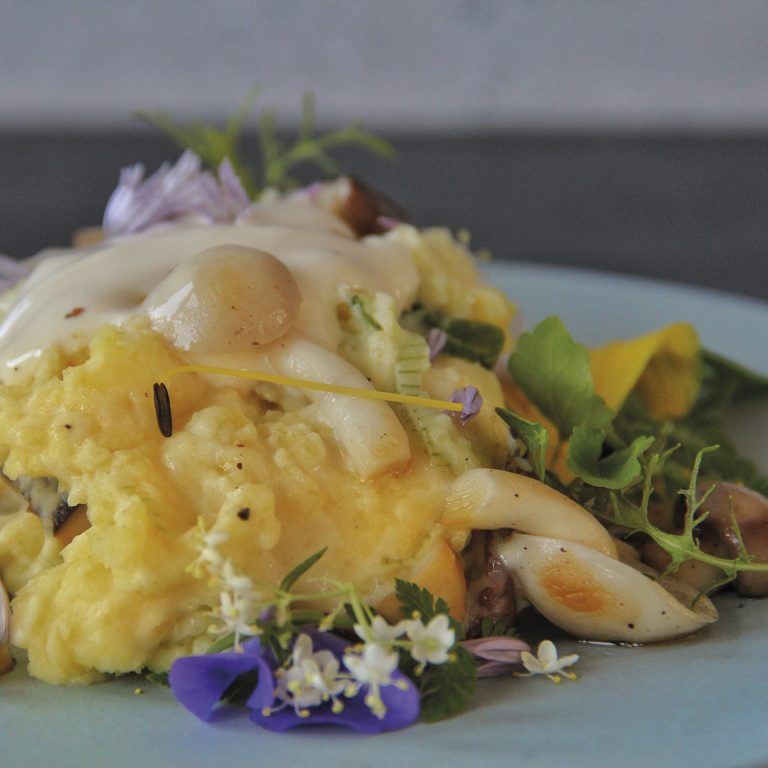 Celeriac purée with Alpine cheese and mushrooms © Alma
