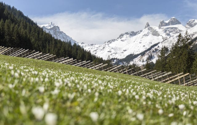 Gauertal im Frühling (c) Andreas Haller - Montafon Tourismus GmbH, Schruns