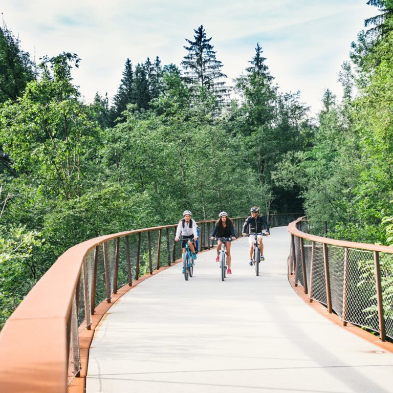 Radweg Bregenzerwald (c) Benjamin Schlachter - Bregenzerwald Tourismus (3)