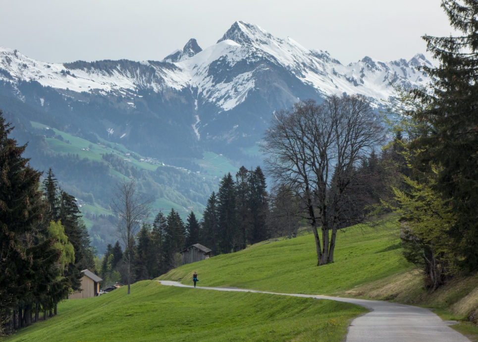 Ludescherberg - Wanderung auf dem Walserweg von Raggal nach Bludenz (c) Vorarlberg Tourismus