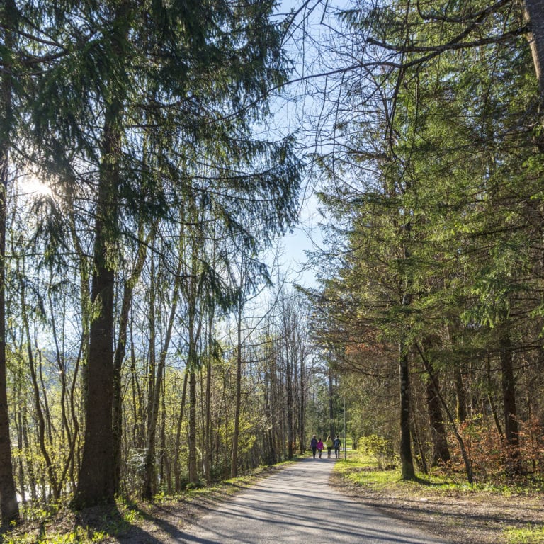 Montafon Illweg Fruehlingswanderung 11 (c) Vorarlberg Tourismus-Agnes Ammann