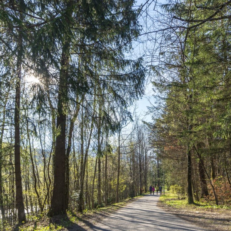 Montafon Illweg Fruehlingswanderung 11 (c) Vorarlberg Tourismus-Agnes Ammann