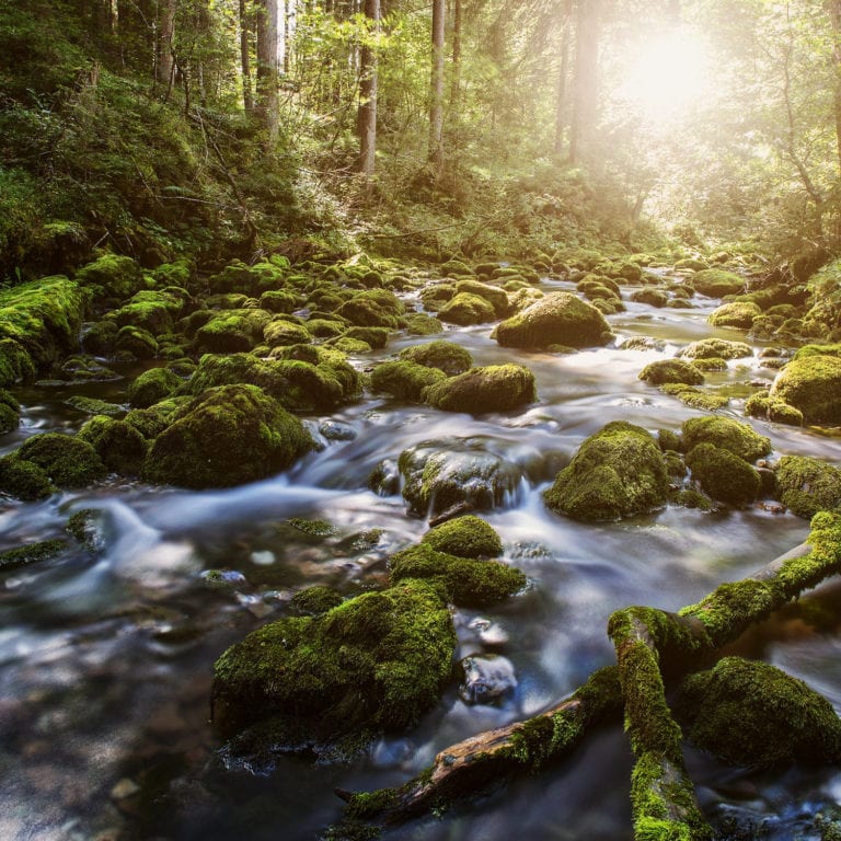 Schwarzwasserbach im Kleinwalsertal (c) Markus Gmeiner / Vorarlberg Tourismus