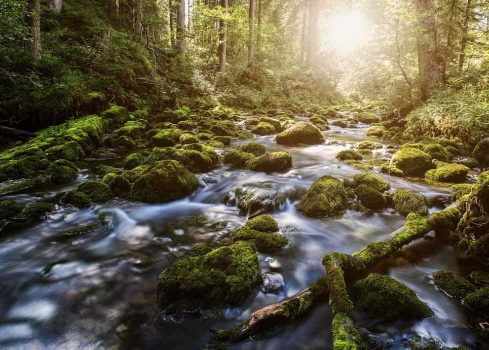 Schwarzwasserbach im Kleinwalsertal (c) Markus Gmeiner / Vorarlberg Tourismus