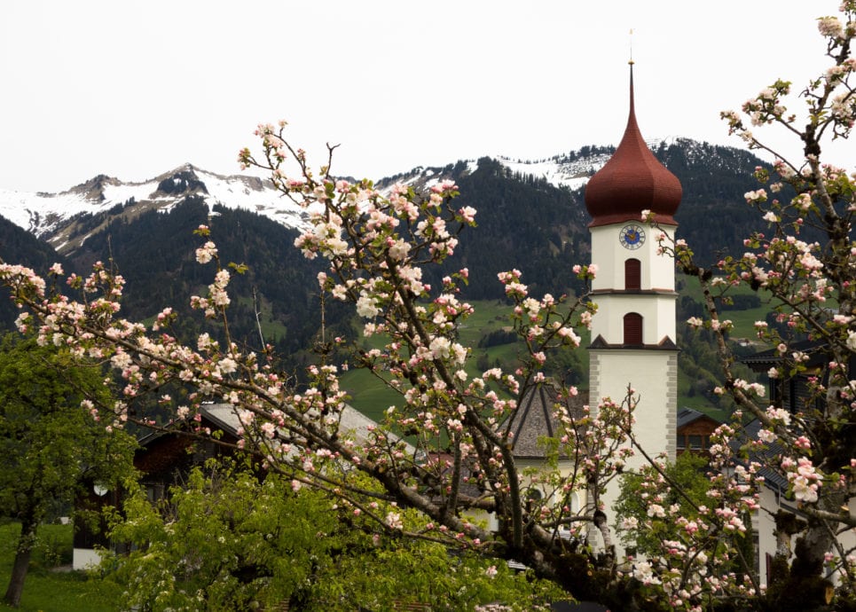 Frühling in Raggal (c) Vorarlberg Tourismus