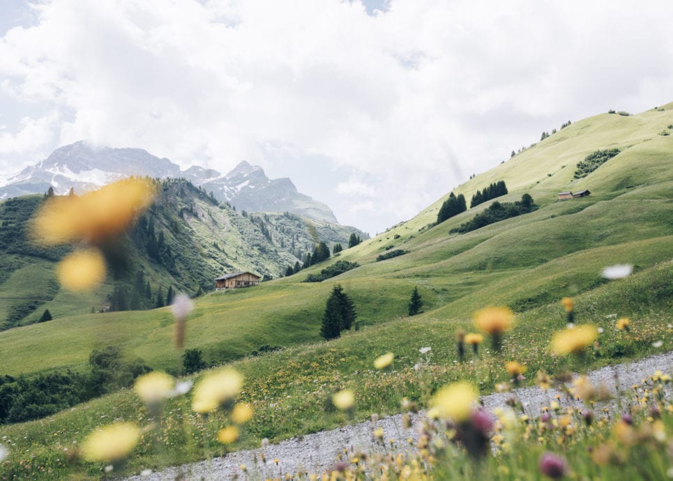 Lech Zürs am Arlberg - information about the holiday region in Vorarlberg