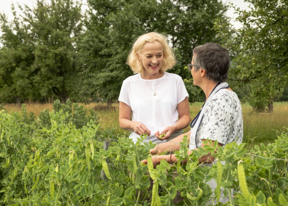 Karin Kaufmann , Kräutergarten