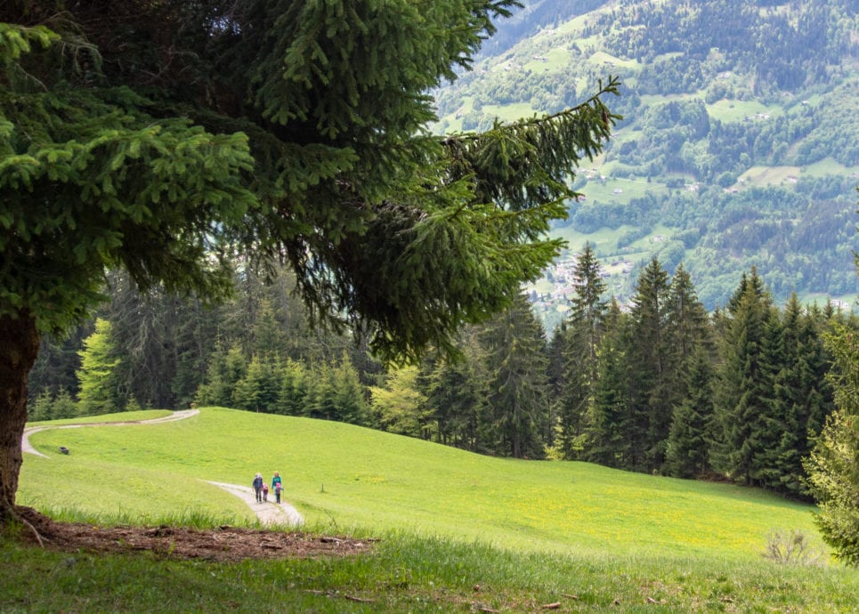 Rundwanderung am Bartholomäberg im Montafon, Vorarlberg