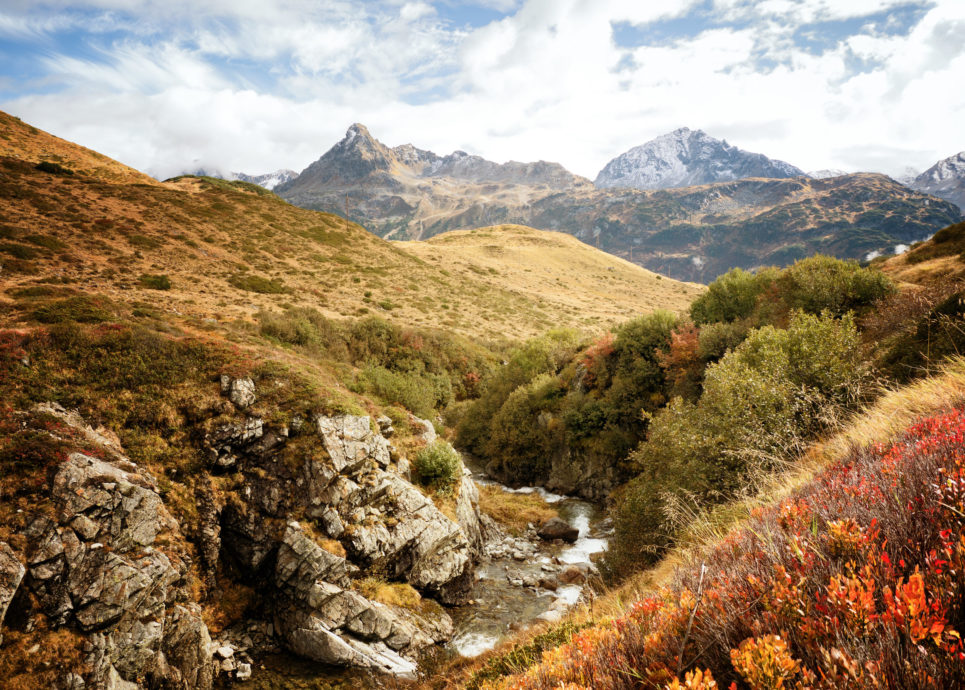 Europaschutzgebiet Wiegensee (c) Andreas Haller - Montafon Tourismus GmbH, Schruns
