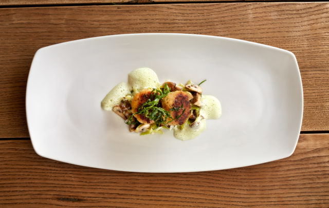 Zander © Krone Hittisau