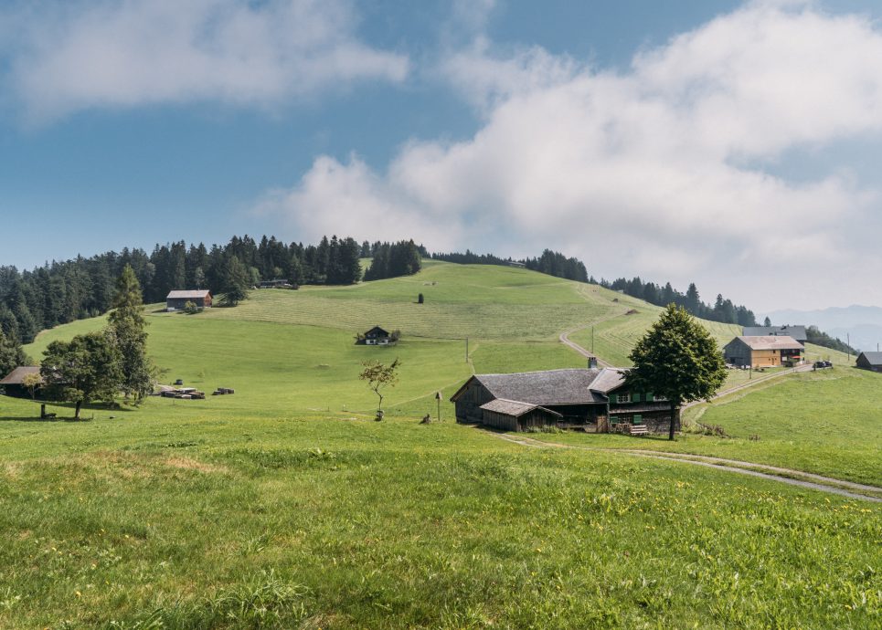 am Bödele - Blick auf den Geißkopf © packyourthingsandtravel / Vorarlberg Tourismus