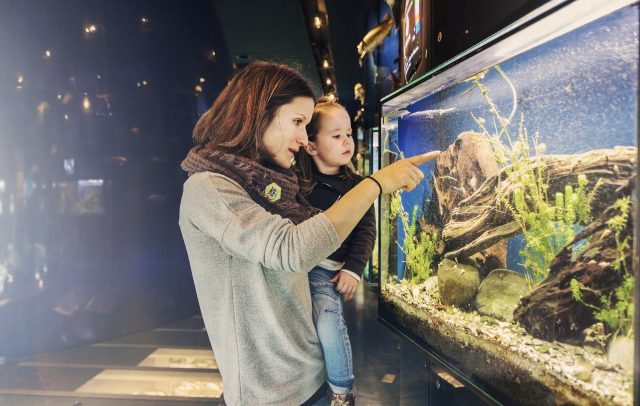 Inatura, Dornbirn (c) Markus Gmeiner - Vorarlberg Tourismus