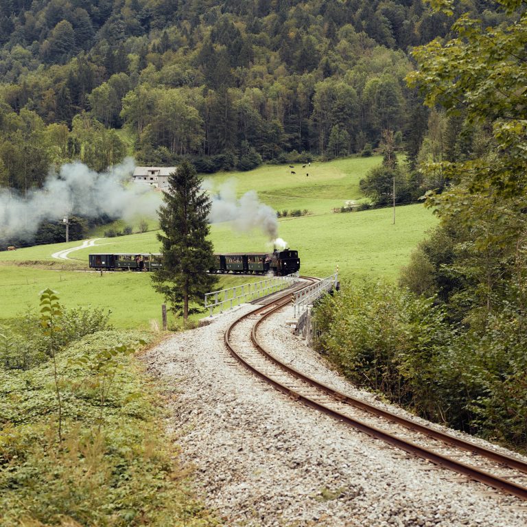 Das Wälderbähnle in voller Fahrt mit Dampf durch die idyllische Landschaft im Bregenzerwald