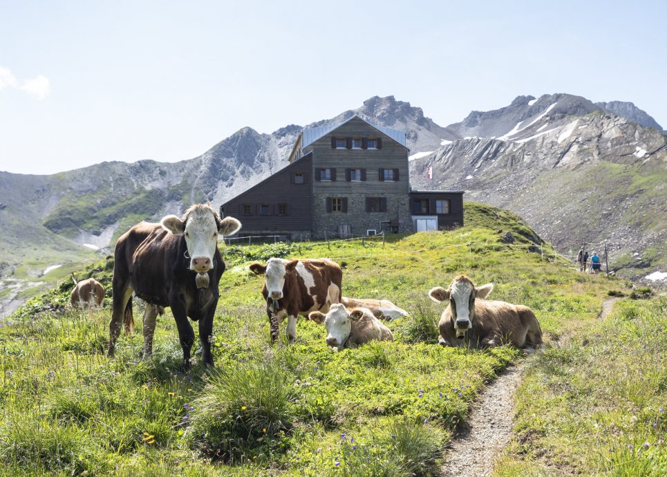 Lechquellenrunde Urlaub in Vorarlberg
