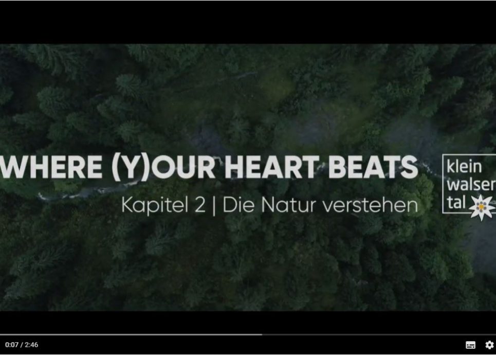 Kleinwalsertal_Sommervideo_Screenshot