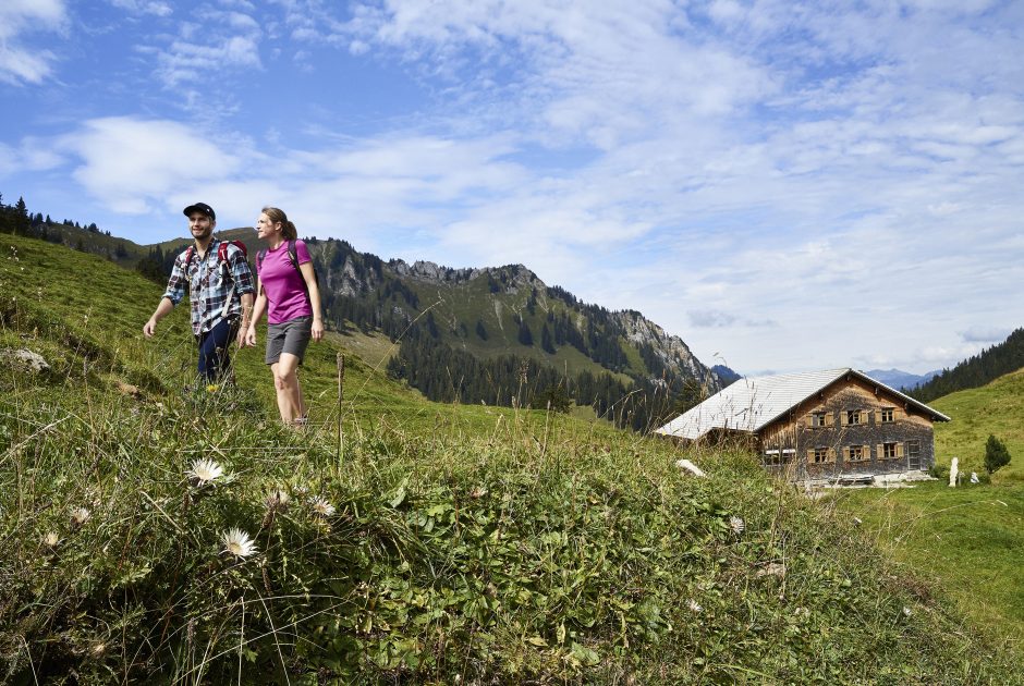 Wandern in der Nähe der Alpe Sattelegg in Au (c) Adolf Bereuter I Bregenzerwald Tourismus