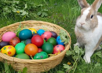 Ostern in Vorarlberg, bunte Ostereier in einem Korb, eine Kaninchen daneben - Symbole für Ostern