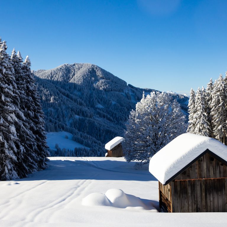 Laterns im Winter © Marvin Schenk / Vorarlberg Tourismus
