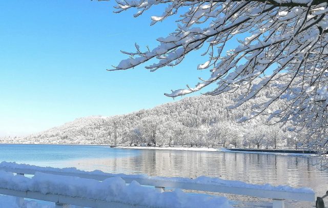 Schnee am Bodensee, Seepromenade Bregenz (c) cs I Vorarlberg Tourismus