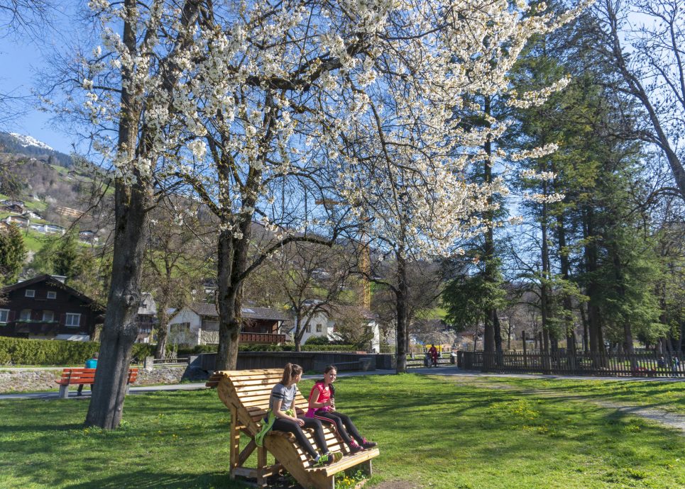 Litzdamm im Frühling © Agnes Ammann / Vorarlberg Tourismus