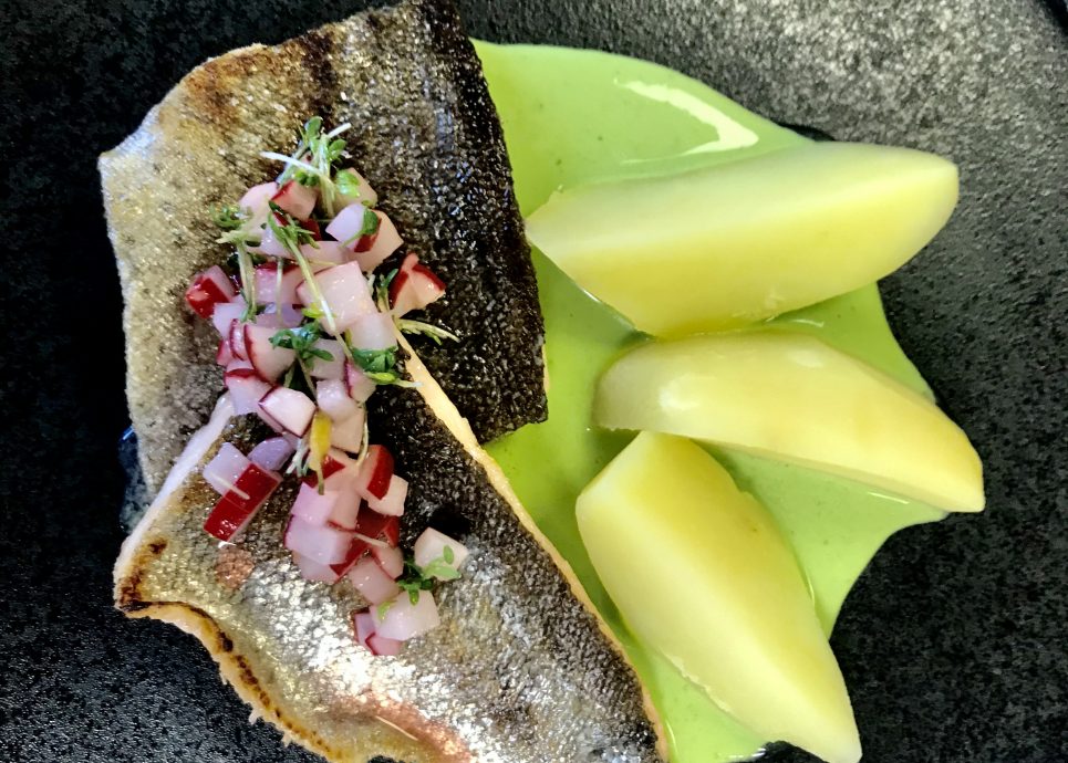 Lachsforelle mit Bärlauch und Salzkartoffeln © Bianca Oberscheider / Bodensee-Vorarlberg Tourismus