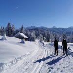 Winterwandern von Sibratsgfäll nach Schönenbach