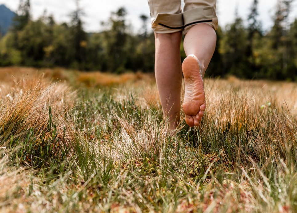 Barfuß Hochmoor Fohramoos © Anja Fontain / Vorarlberg Tourismus