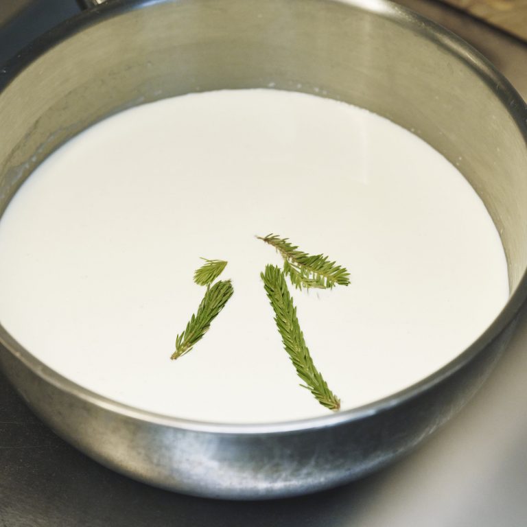 Frische Tannenwipfel für das Panna Cotta © Angela Lamprecht / Vorarlberg Tourismus