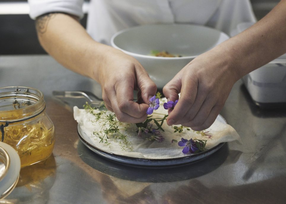 Gundermann und Labkraut © Angela Lamprecht / Vorarlberg Tourismus