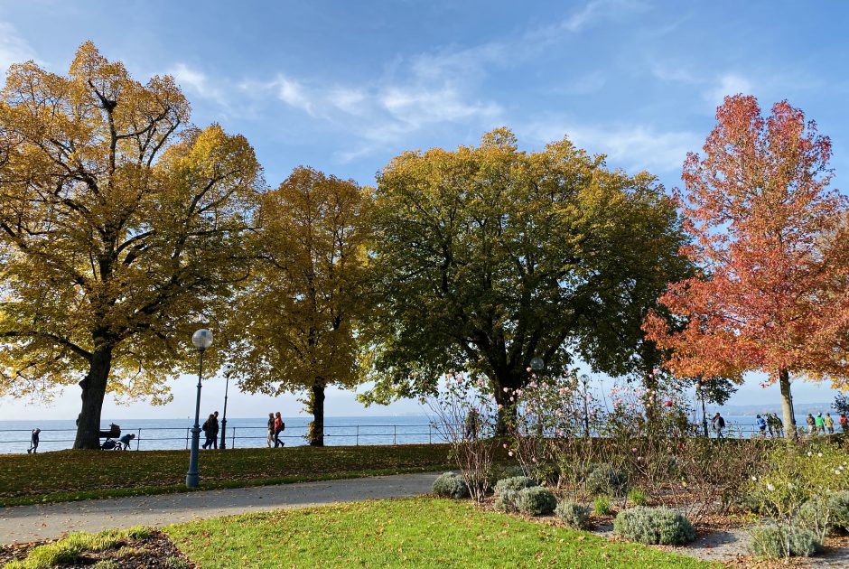Bregenz Bodenseepromenade im Herbst (c) Katharina Fa - Vorarlberg Tourismus