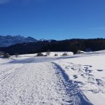 Winterwanderweg Angelikahöhe