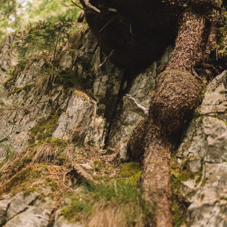 Alpine Art Köpfegesellschaft von Alfred Graf © Kirstin Tödtling / Vorarlberg Tourismus