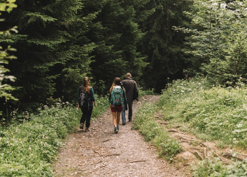 Muttersberg Wanderung © Kirstin Tödtling / Vorarlberg Tourismus