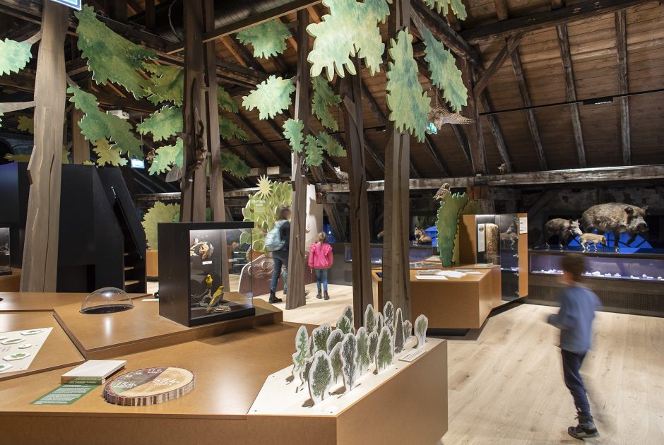 inatura Wies&Wald © Petra Rainer / inatura Erlebnis Naturschau GmbH