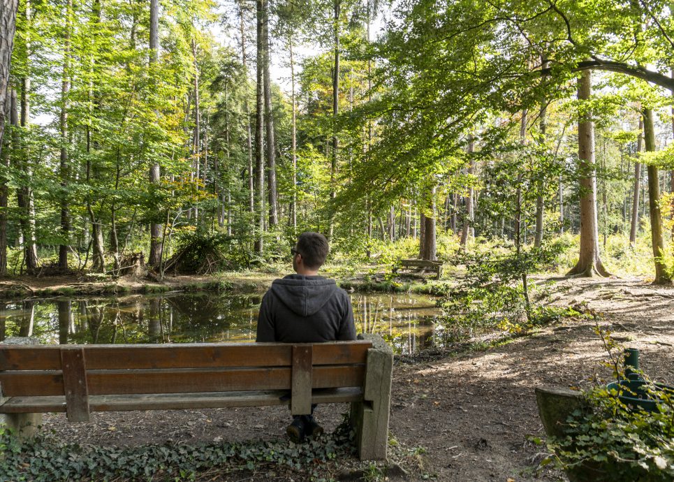 Wildpark Feldkirch Sautränke (c) Agnes Ammann / Vorarlberg Tourismus