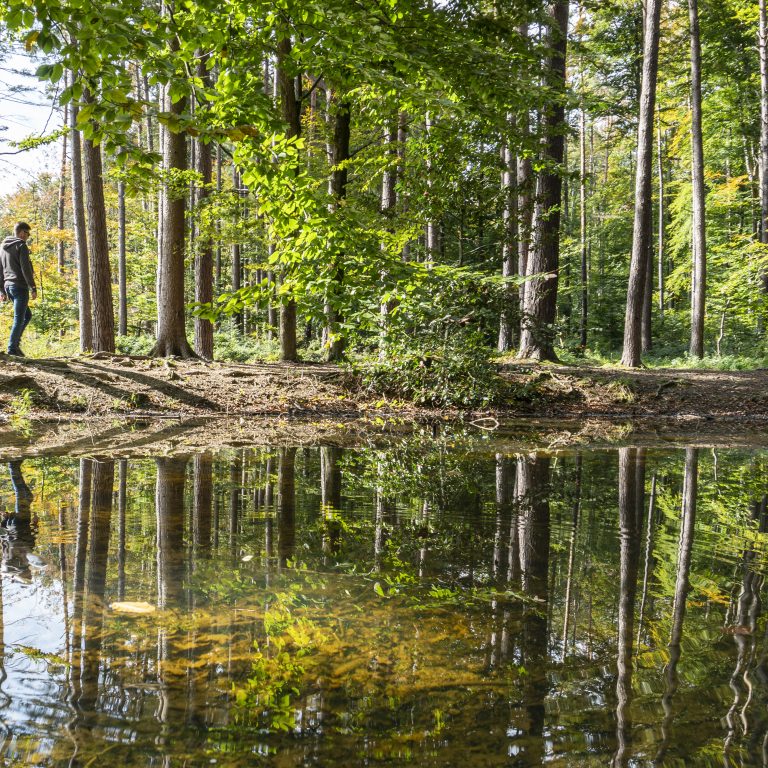 Wildpark Feldkirch © Agnes Ammann / Vorarlberg Tourismus