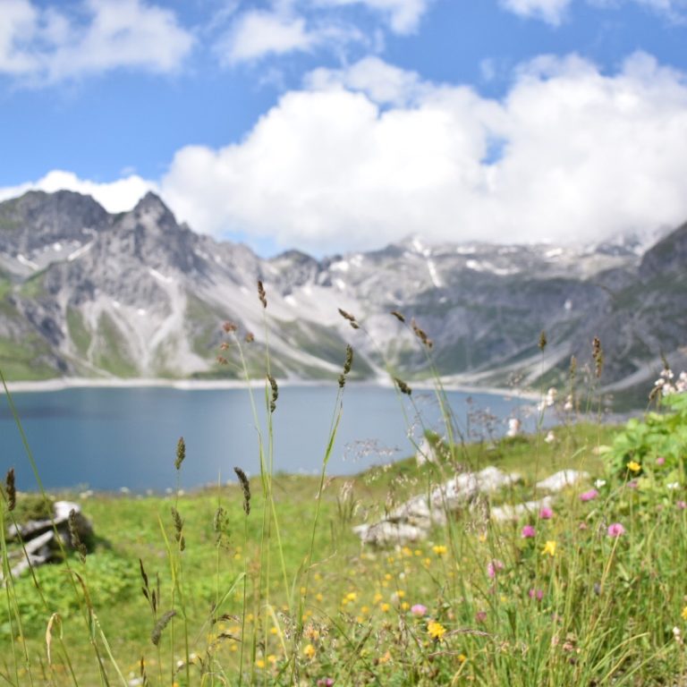 Blick auf den sommerlichen, idyllischen Lünersee, Berge im Hintergrund, Blumenwiese im Vordergrund