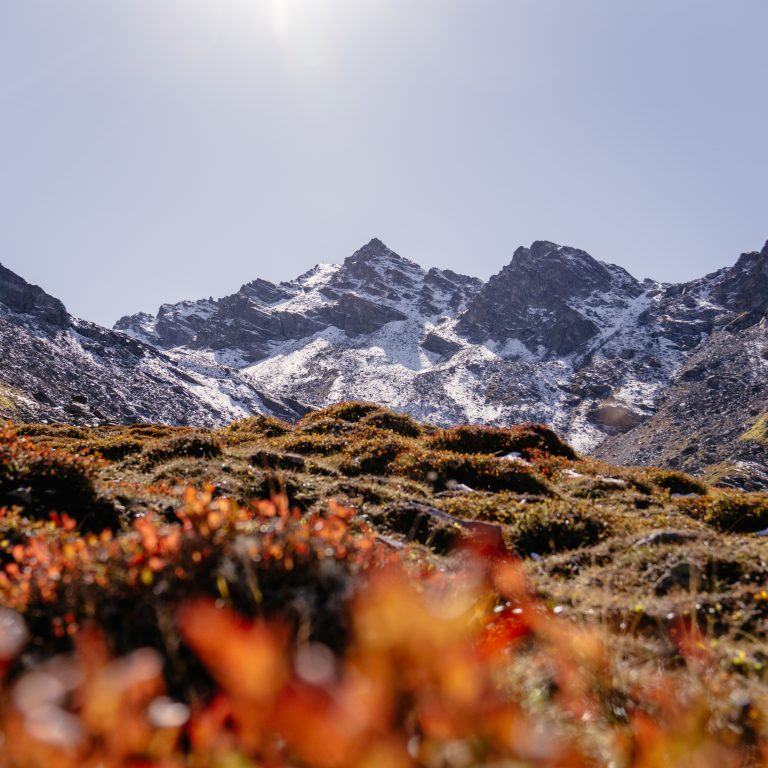 Wandern Vergaldatal im Montafon © Sabrina Bechtold - Vorarlberg Tourismus