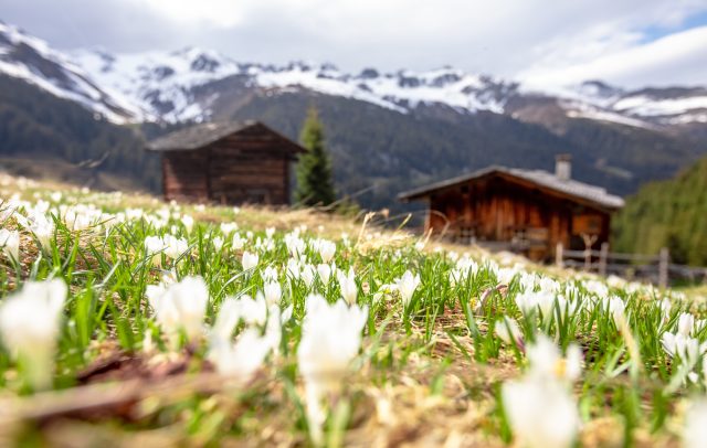 Frühling in Gargellen (c) Stefan Kothner