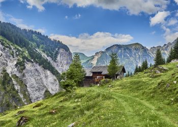 Rinderalpe Sonntag-Buchboden (c) Markus Wäger I Vorarlberg Tourismus