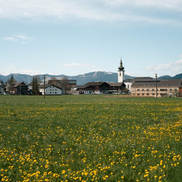Hittisau im Frühling (c) Nina Bröll