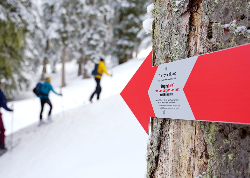 Eine Skitourengruppe im Montafon, die durch ein Hinweisschild der Initiative naturverträglicher Bergsport auf den richtigen Weg aufmerksam gemacht werden