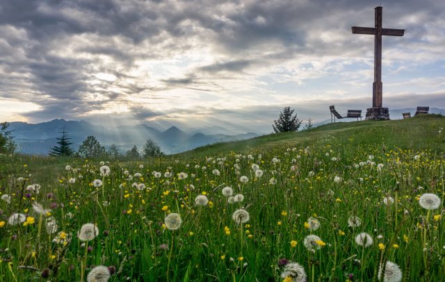 Aussicht von Kaltenbrunnen in Egg im Bregenzerwald auf die Frühsommerlandschaft im Bregenzerwald, im Vordergrund verblühte Löwenzahn