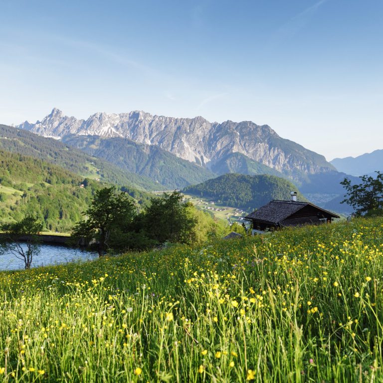 Blick auf Bitschweil im Frühling, eine Parzelle der Gemeinde Tschagguns im Montafon, im Hintergrund die Berge; Urlaub in Vorarlberg