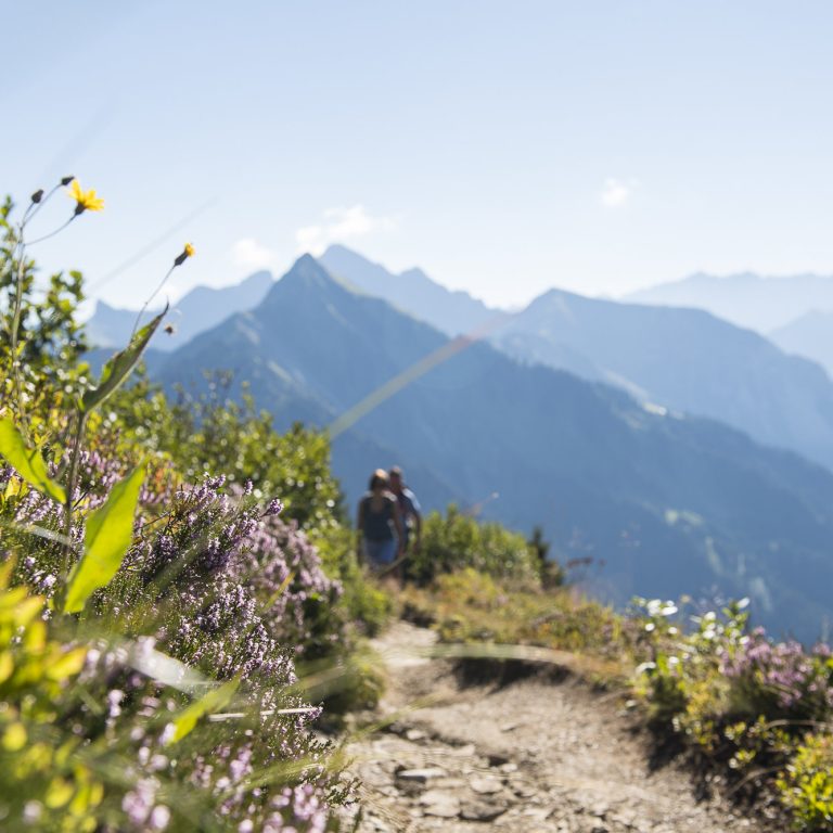Wandern in Faschina - Sonntag-Stein im Frühherbst. Im Hintergrund die Berge der Alpenregion Bludenz